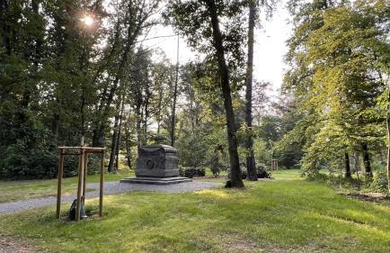 Ferienwohnung König Georg - Foto 22