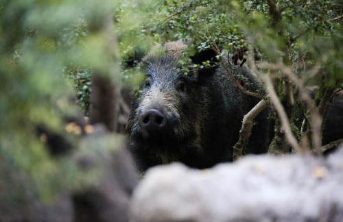 le refuge des Marmottes - Foto 18