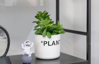 Big Modern Family Home On 1 Acre Land w Firepit & Grill - Foto 58