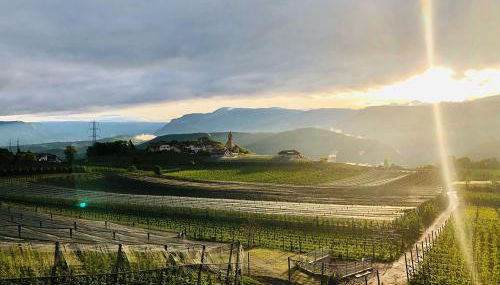 Weitblick Apartment mit Garten - Foto 4, Garden