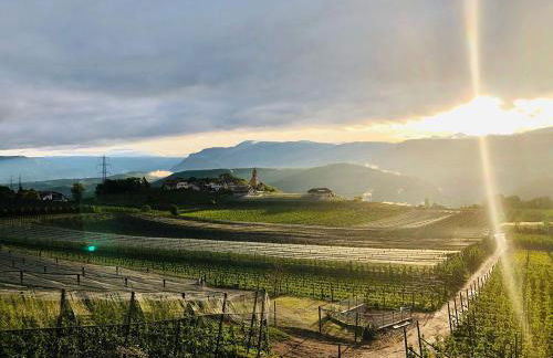 Weitblick Apartment mit Garten - Foto 4