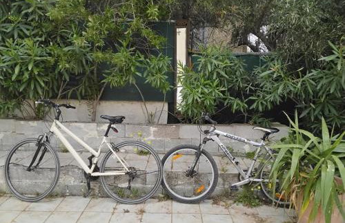 Penthouse Peaceful Oasis - Foto 46