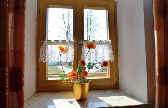 Lovely Holiday Home in Viechtach near Forest - Photo 13