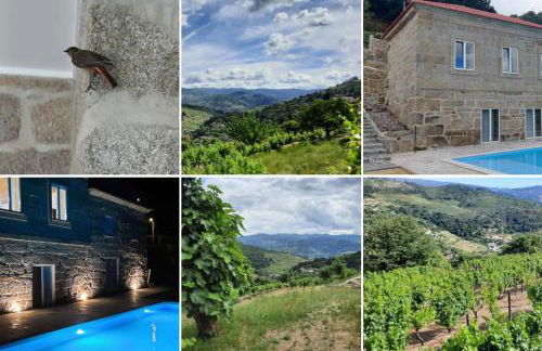 Bosque da Fantasia - Foto 21