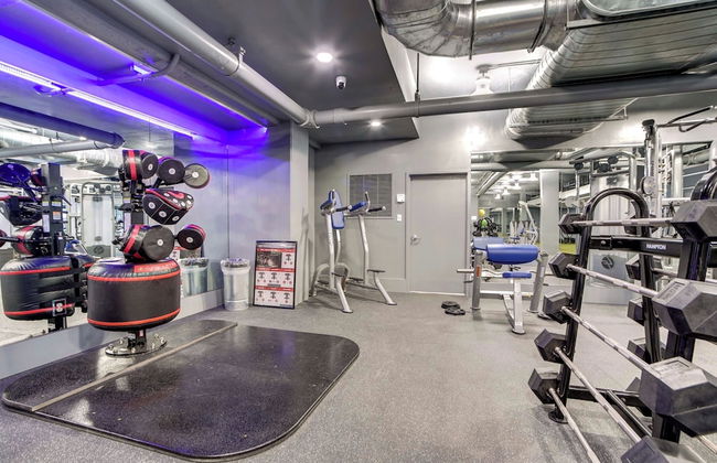 Comfortable Apt in Crystal City - Photo 24