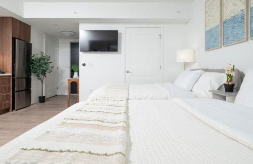 Lux Studio 2xQueen beds Gym near MIT Harvard - Photo 21