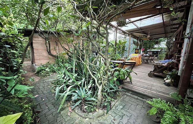 Quintal do Contêiner - Photo 19