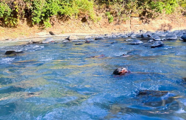 Destino Hotel & Hot Springs Day Pass - Foto 16