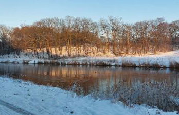 2-Zimmer-Fewo Nähe Lübeck - Foto 15