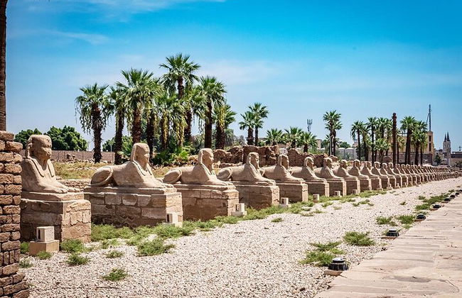 Crociera di 4 notti Luxor, Assuan, Abu Simbel, mongolfiera e tour in autobus da Hurghada - Foto 22