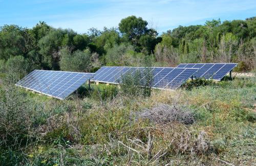 Finca Estrella - Foto 26