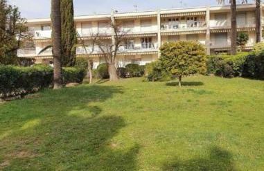 Les Palmiers - Foto 14