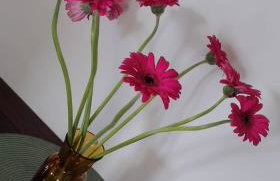 Apartament Kwiatowy klimatyzowany - Foto 27