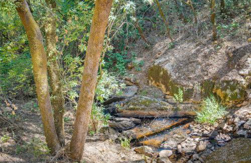 Meadow Vista Mountain Escape with River Views! - Foto 35