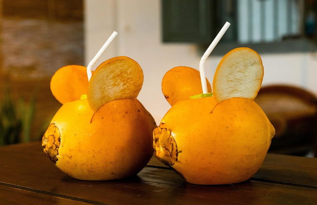 Serendipity Lake - Hikkaduwa - Photo 2