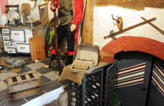 Phönix aus der Asche - Foto 7