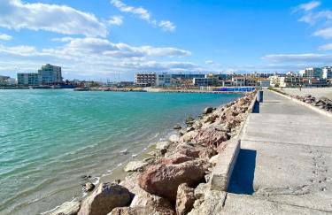 Appartement T2 vue exceptionnelle CARNON-PLAGE - Foto 18