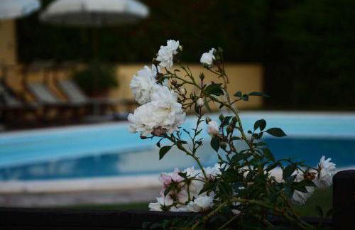 Il Poggiolo di Parrano - Foto 17