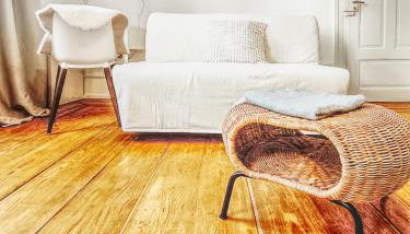 Charmante, ruhige Wohnung im Herzen der Altstadt von Heidelberg - Foto 5, Garden view