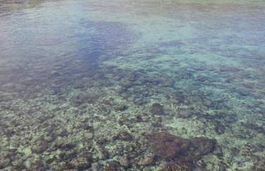 Cala Paradiso - Foto 70