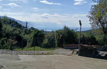 I Corbezzoli - Foto 3