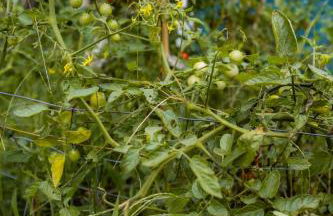 Adorable Solo-Traveler Retreat - Foto 26