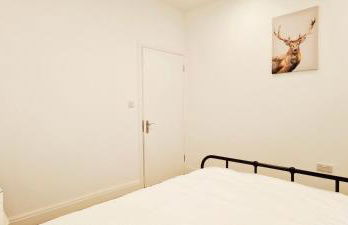 Phlox Garden - Foto 51