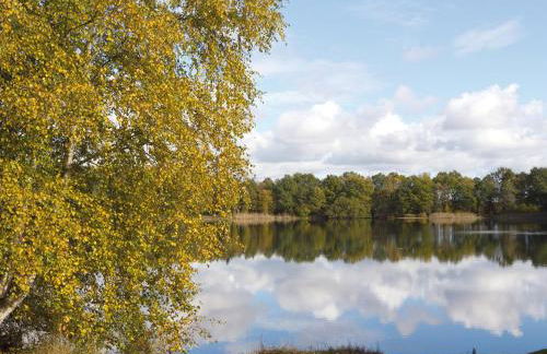 Ferienhaus Clara - Foto 21
