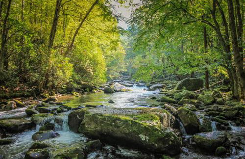 Stillwater Cove by Jackson Mountain Rentals - Foto 56