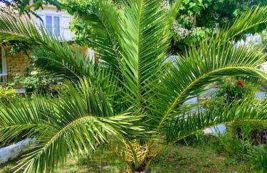 maison piscine privée Robion Luberon idéal famille - Foto 7