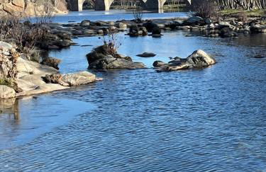 La Higuerilla - Photo 22