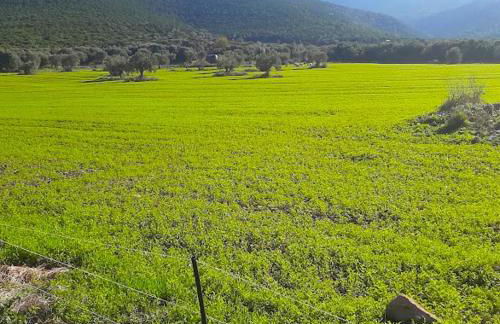 Little Bit Of Heaven - Photo 25