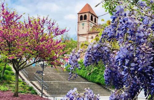 Goldstadt Comfort Suite - City Apartment Schlössle - Foto 51