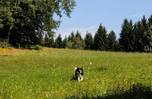 Waldhaus Sonnenberg Apartment 1 - Foto 34