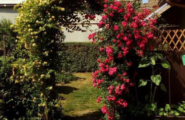 Ruhe geniessen bei Kulbes - Foto 36