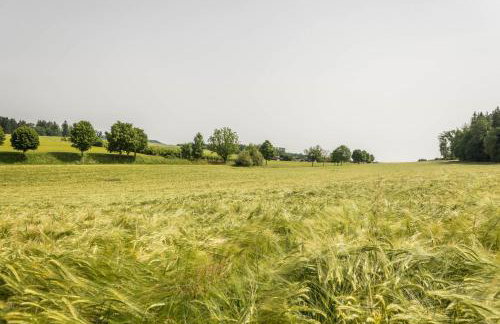 Hof Wagenberg Ferienwohnung 1 - Photo 28