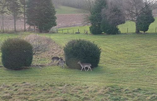 The Stables at Eriviat Hall - Foto 68