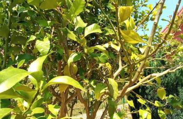 El rincón de Voto - Foto 9