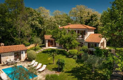 Rustic Villa Cehici with pool in Sveti Lovrec - Foto 1