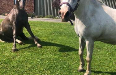 Another Place - Foto 11