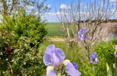 La Maisonnette de Chevannes - Foto 8