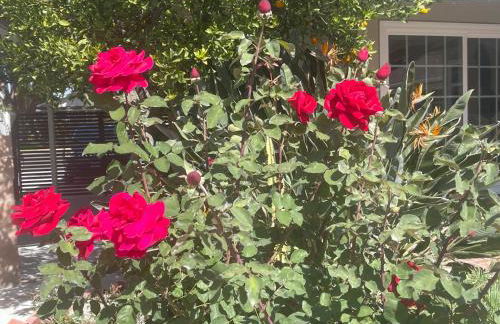 4BR Home near Universal - Private Pool, BBQ, Free Parking - Foto 63