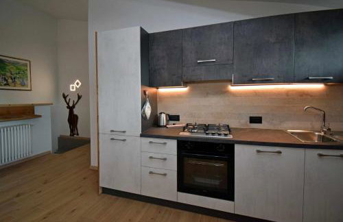 Legno Vecchio-Padola-Dolomiti-[rustic & modern] - Foto 5