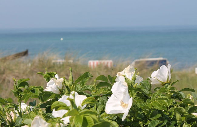 Quaint Bungalow in Reddelich near Baltic Sea Coast - Foto 24