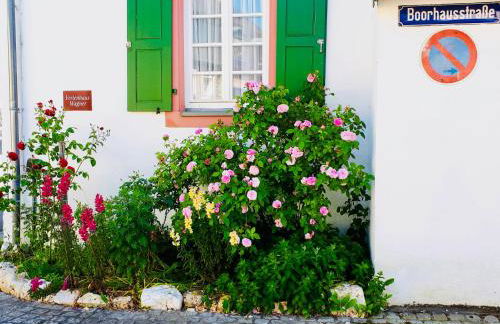 Ferienhaus Wagner - Photo 4