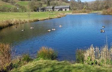Lake Cottages at Cwm Chwefru - Foto 19