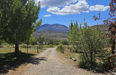 Guest House - Foto 17