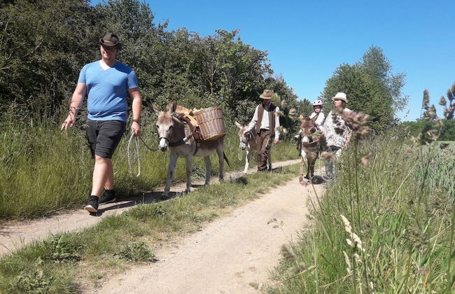 Familienfreundlicher Urlaub im Landhaus Obergude - Foto 16