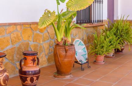 Casa Rural Tajo de Gómer Riogordo by Ruralidays - Foto 49