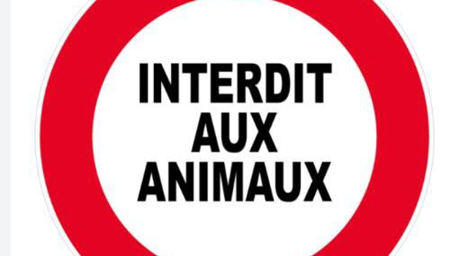 Chalet Ro'mence, aux portes de la Savoie - Foto 2